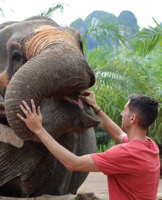 In Thailand with the Elephants